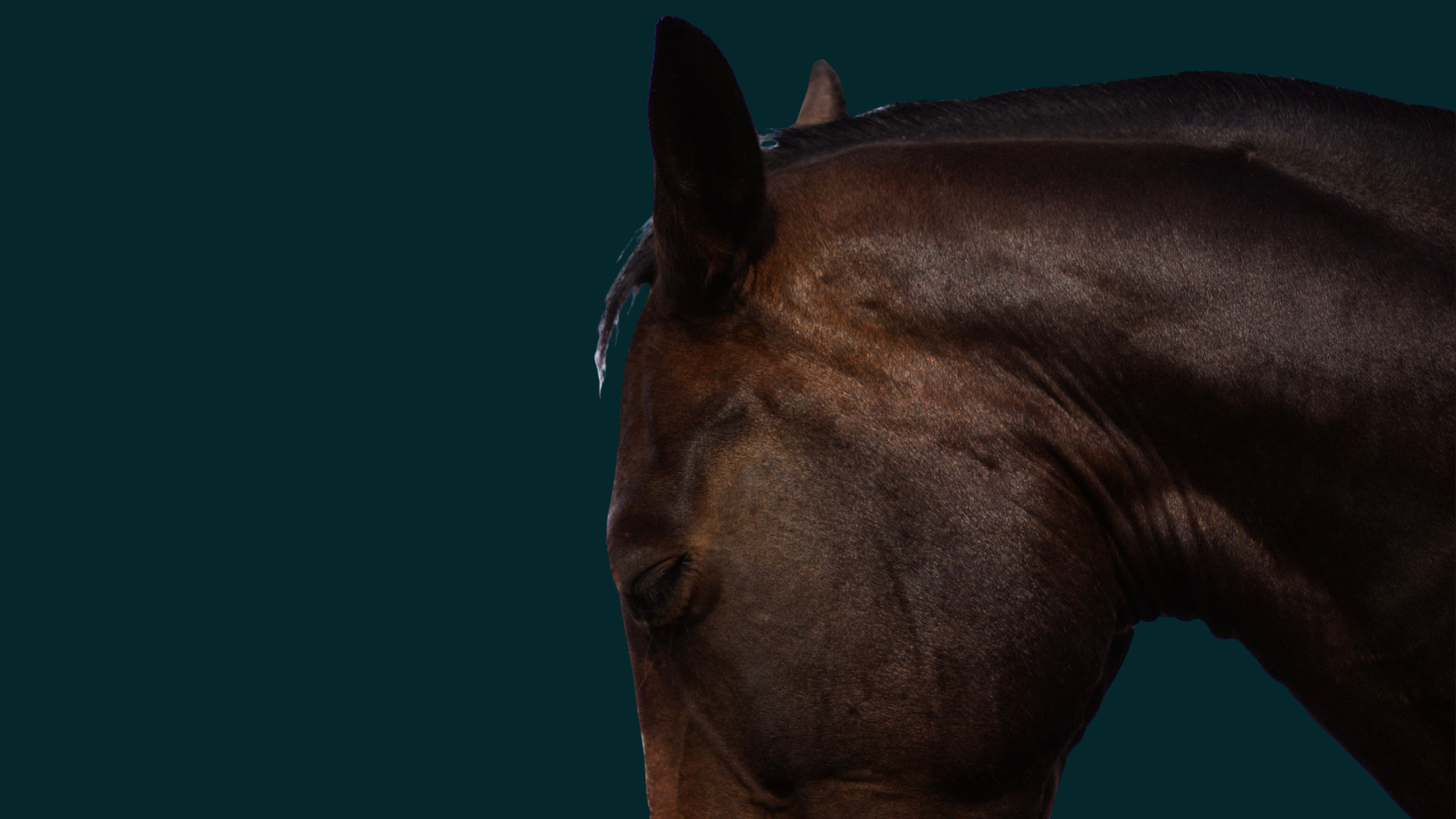 Head position