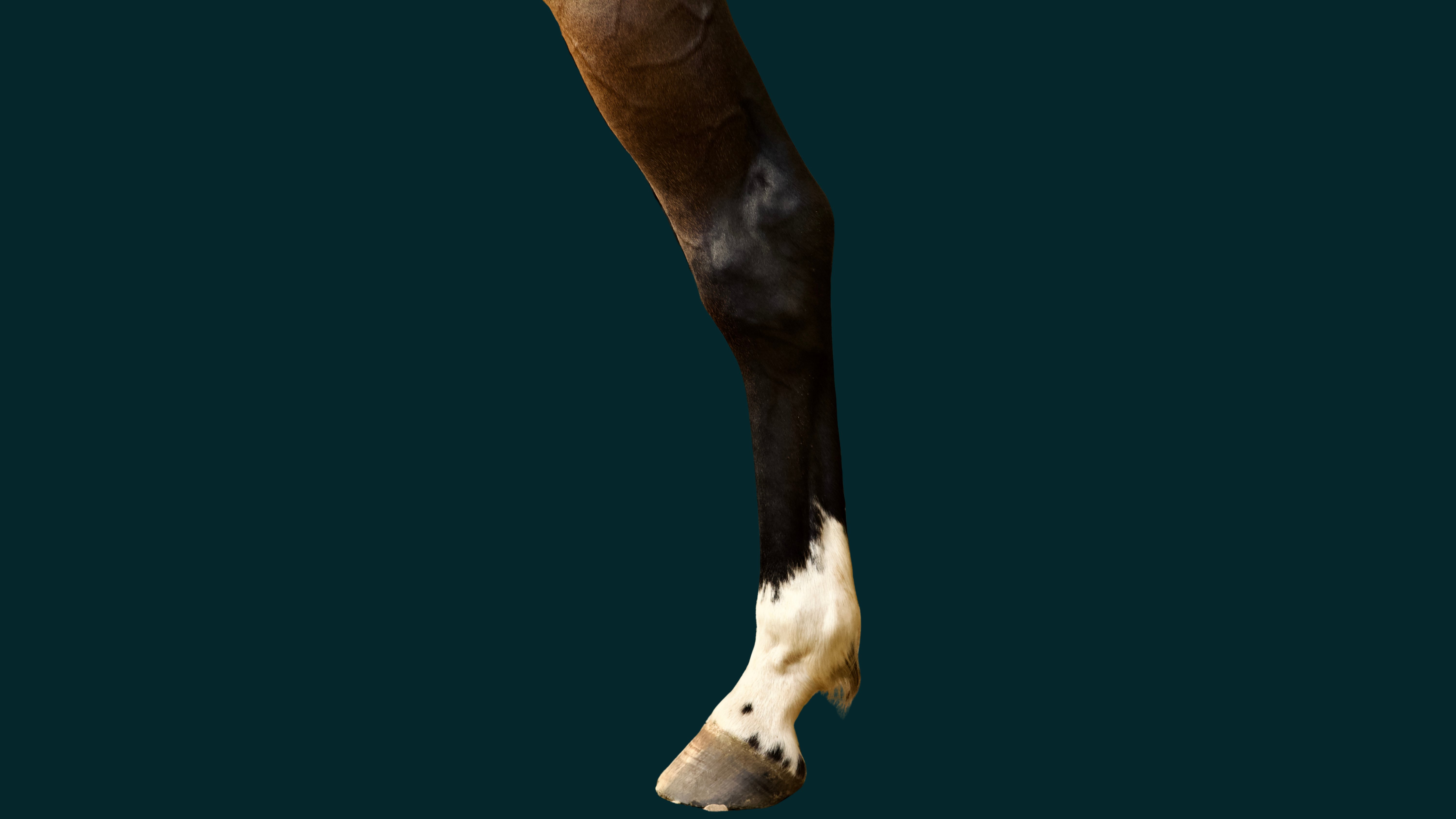 Gait abnormalities