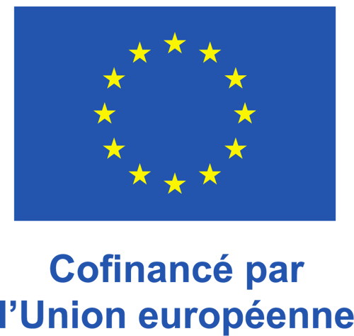 Co-financed by the European Union